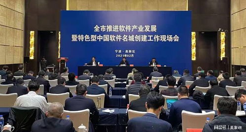 宁波推进软件产业发展工作现场会全体参会领导莅临美象科技参观