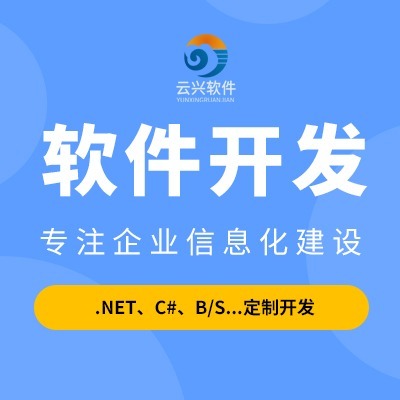 计算机软件开发