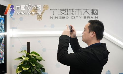 全国数字政府服务能力评估揭晓 宁波被评为 卓越级