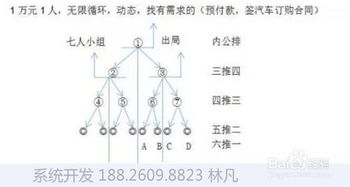 公排app开发 公排系统开发