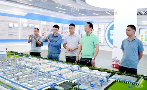 中国电子信息产业发展研究院赴古雷港口经济开发区调研