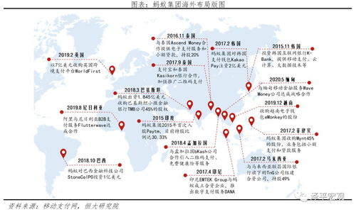 蚂蚁研究报告
