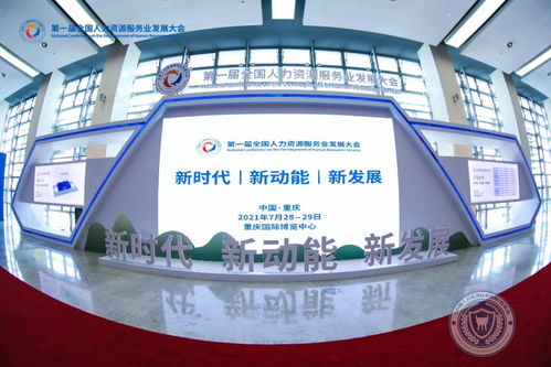 社宝科技携数字化产品亮相第一届全国人力资源服务业发展大会，引领宁波软件开发新趋势